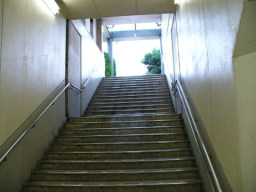 ���É��E���m�E�򕌁E�O�d �u���C�_���V�F�[�r���O�@���f�B�[�X�V�F�[�r���O �w����߂��ĕ֗��ȃA�J�z��3