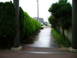 ���É��E���m�E�򕌁E�O�d �u���C�_���V�F�[�r���O�@���f�B�[�X�V�F�[�r���O �w����߂��ĕ֗��ȃA�J�z��4